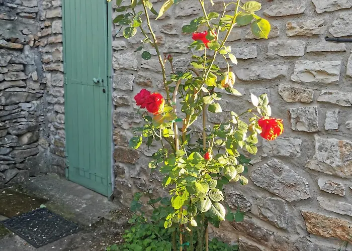 Appartement Havre Champêtre En De Nîmes